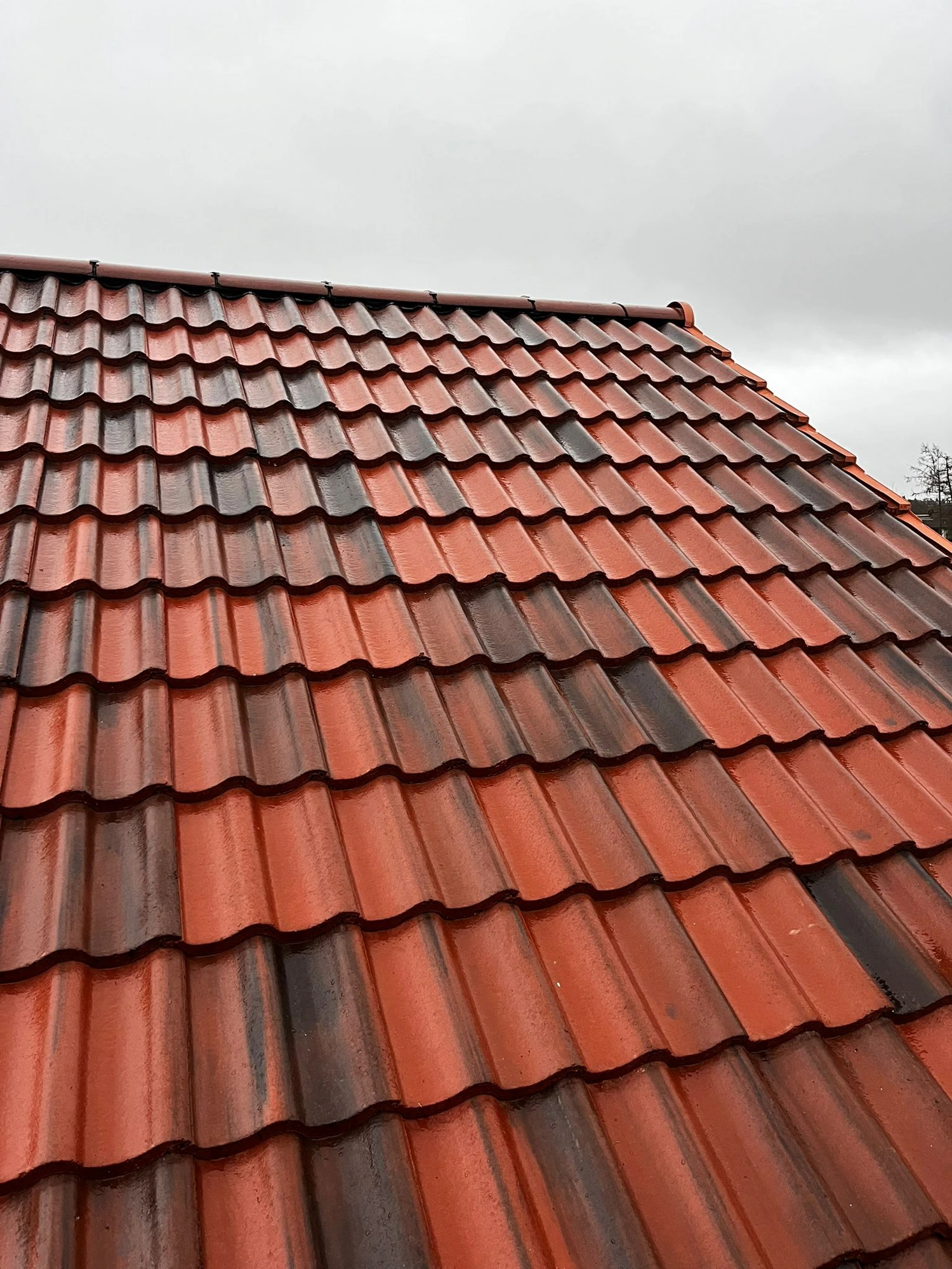 Recent Rocksteady roof replacement